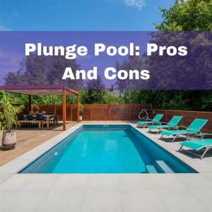 Plunge Pool Pros and Cons